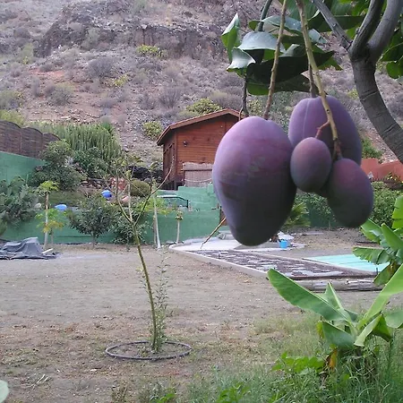 Landsted Country House Marevina Rural Los Palmitos